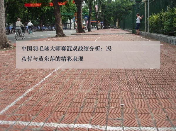 中国羽毛球大师赛混双战绩分析：冯彦哲与黄东萍的精彩表现